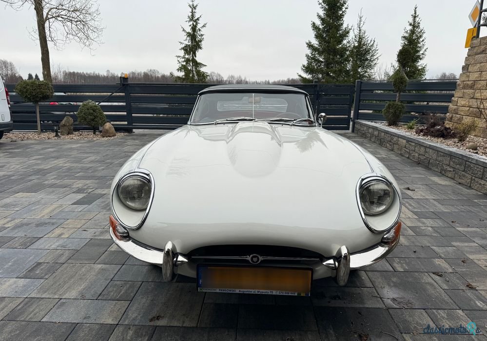 1968' Jaguar E-Type photo #2