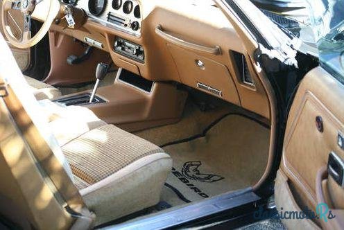 1979' Pontiac Trans Am photo #4