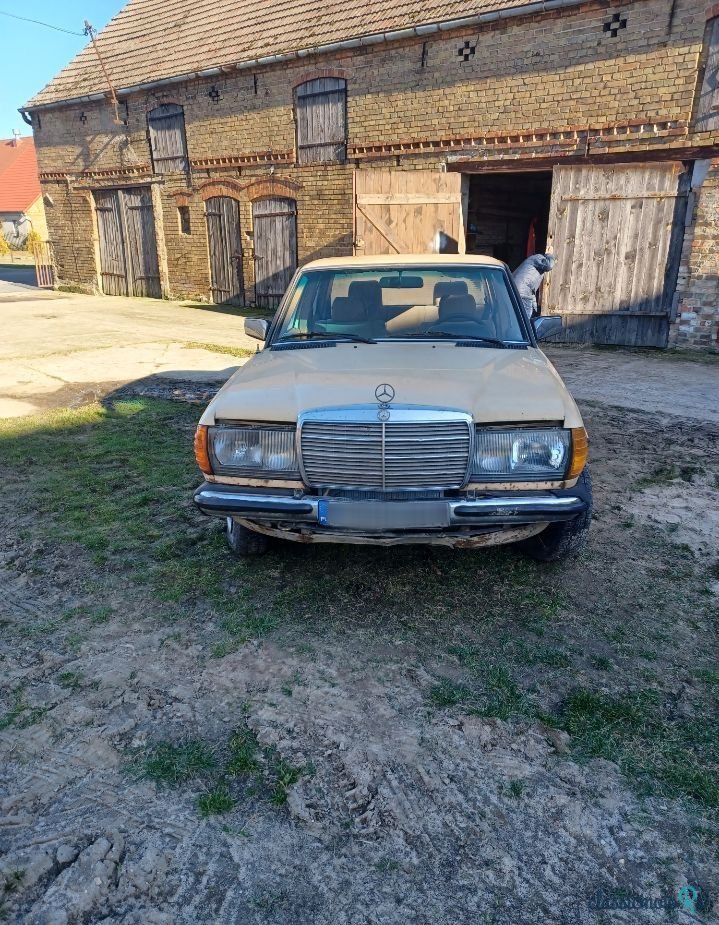 1980' Mercedes-Benz W123 photo #1