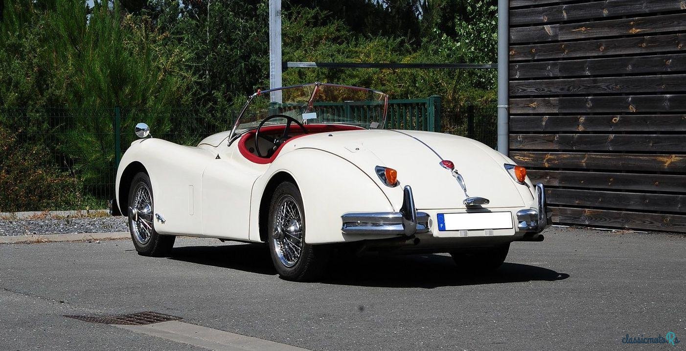 1955' Jaguar Xk140 Roadster photo #2