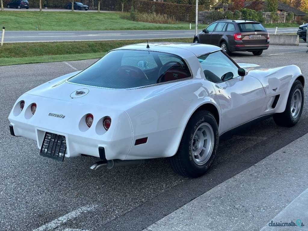 1978' Chevrolet Corvette photo #4
