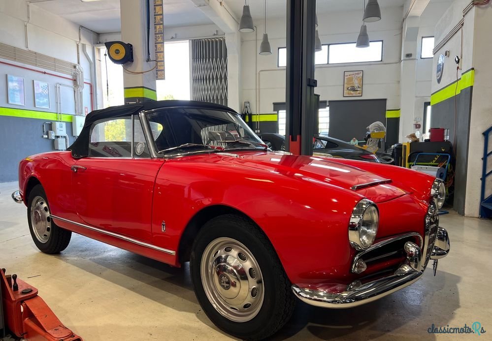 1963' Alfa Romeo Giulia photo #3