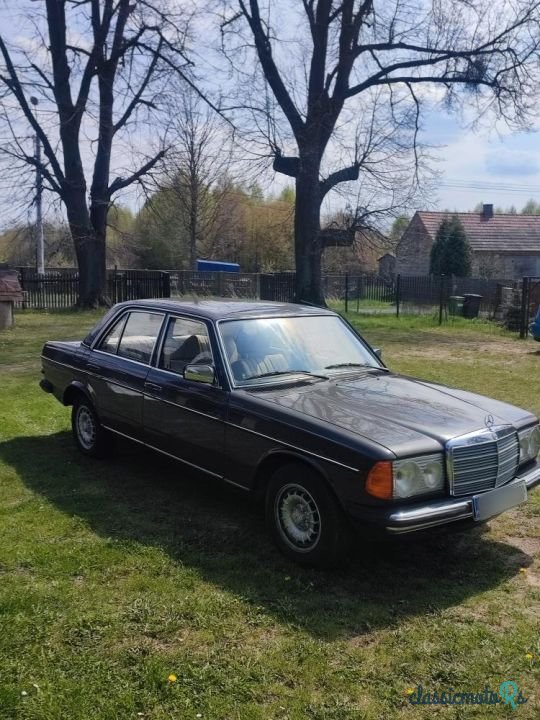 1978' Mercedes-Benz W123 photo #3