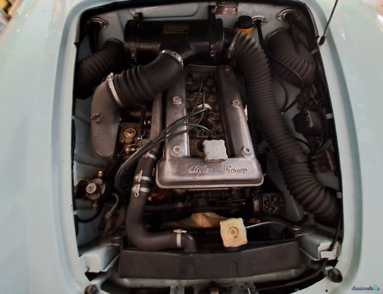 1969' Alfa Romeo Giulietta Spider photo #3