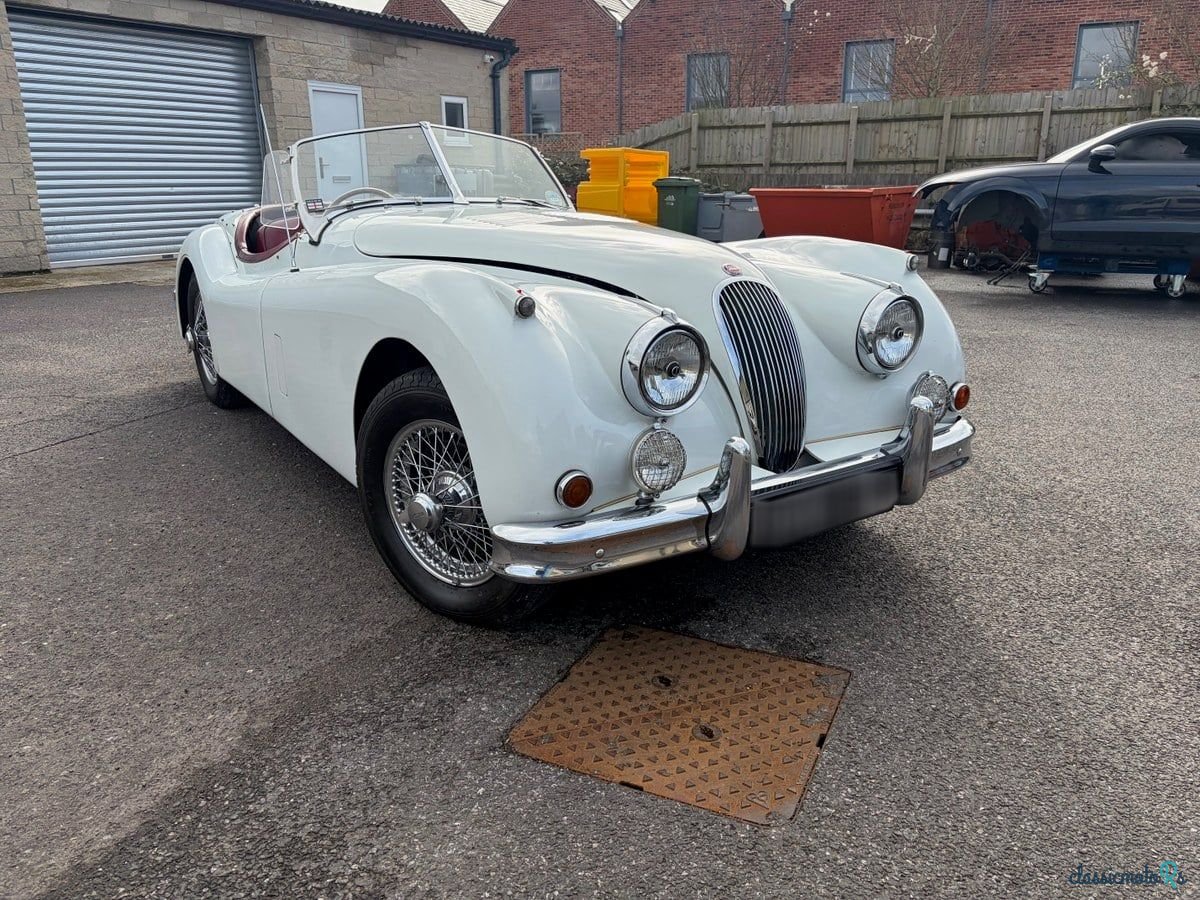 1955' Jaguar Xk140 photo #2