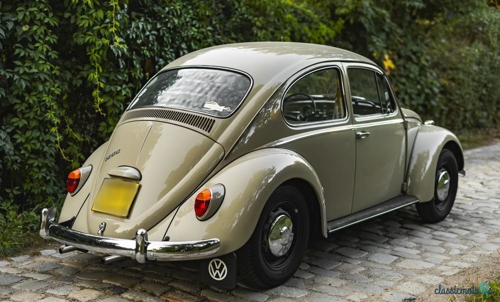 1966' Volkswagen Garbus photo #4