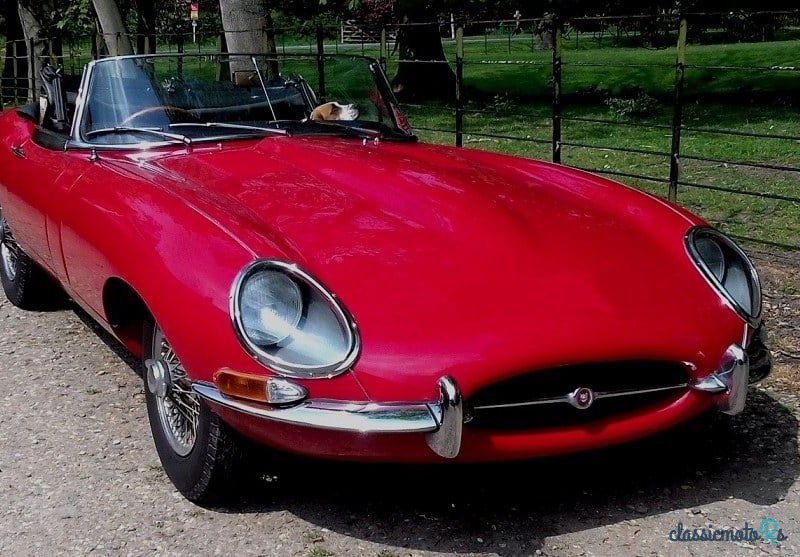 1967' Jaguar E-Type photo #1