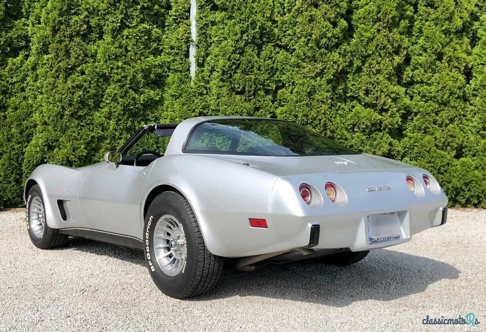 1979' Chevrolet Corvette photo #3