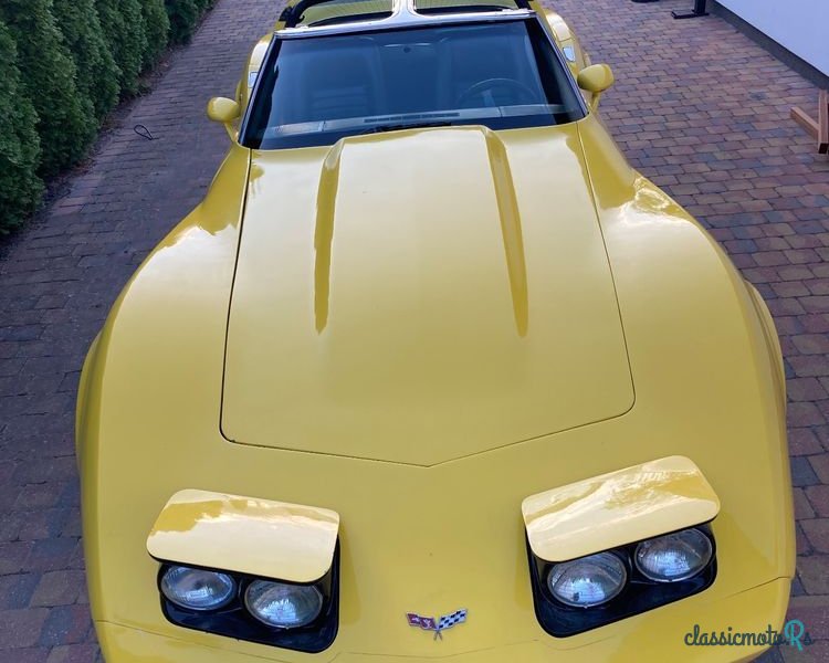 1979' Chevrolet Corvette photo #3