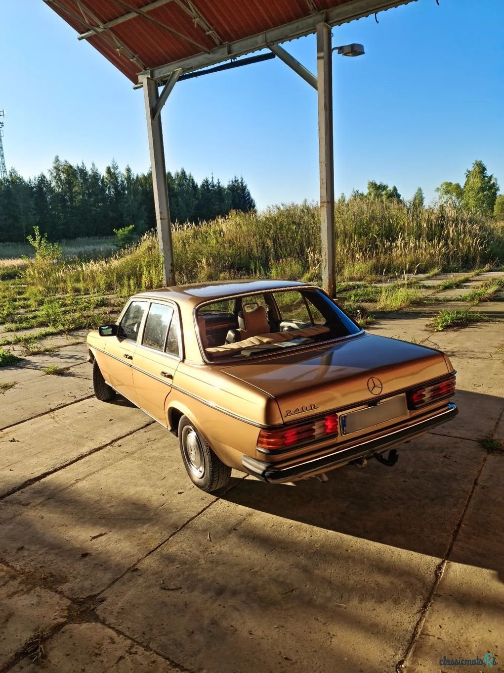 1977' Mercedes-Benz W123 photo #5