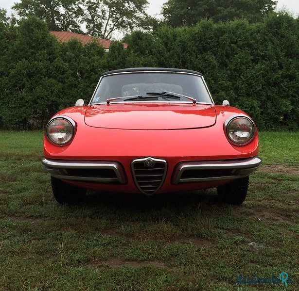 1967' Alfa Romeo Spider 1600 photo #3