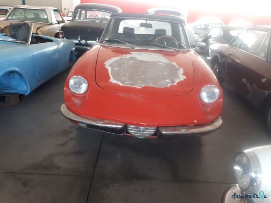 1973' Alfa Romeo Spider photo #2