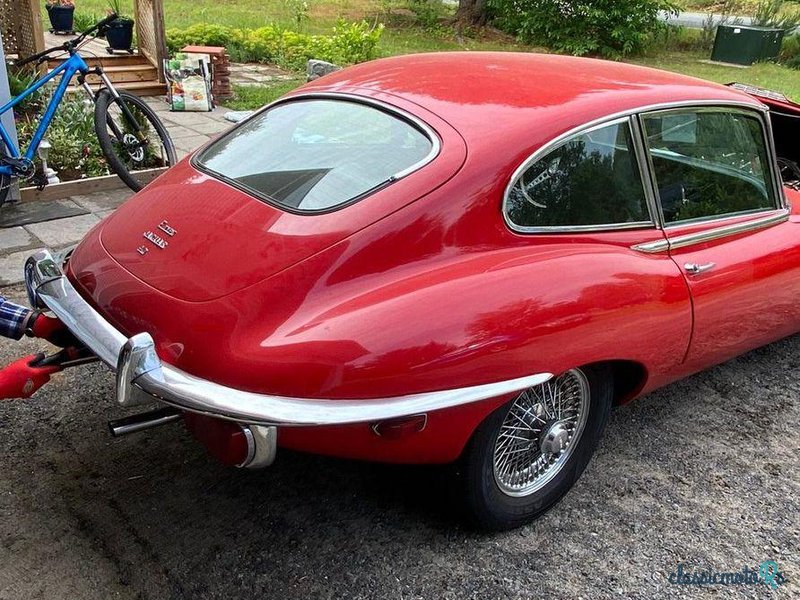 1969' Jaguar E-Type photo #3