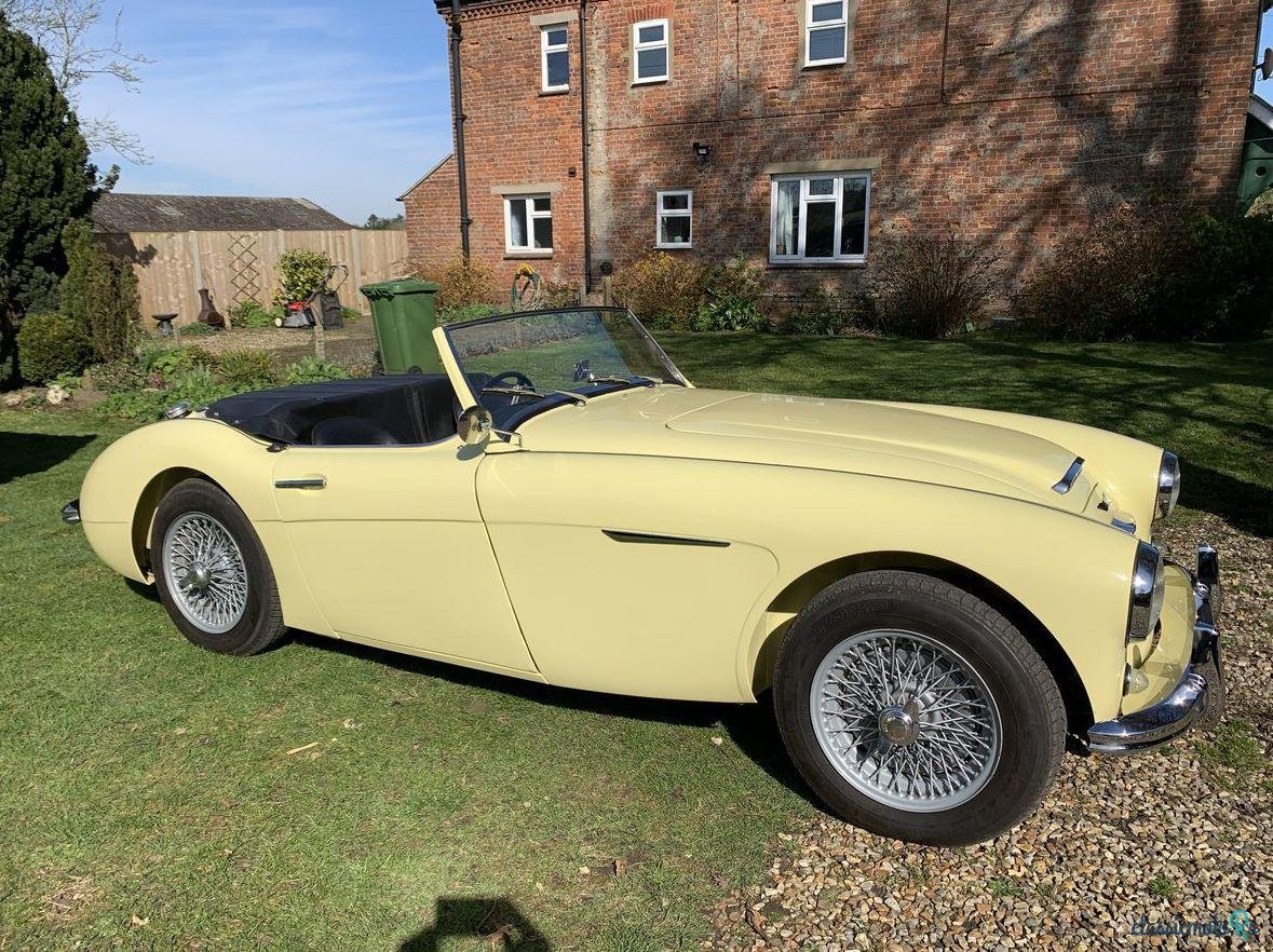 1957' Austin-Healey 100-6 photo #4