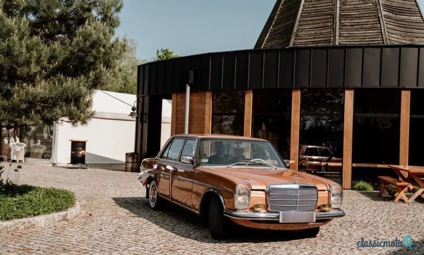 1974' Mercedes-Benz W115 photo #3