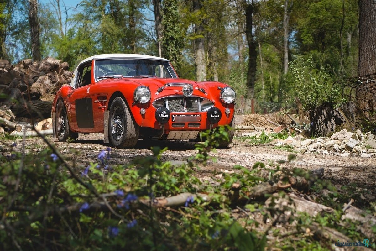 1960' Austin-Healey 3000 photo #2