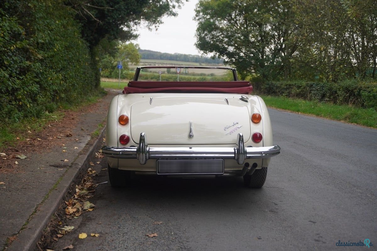 1964' Austin-Healey 3000 photo #5