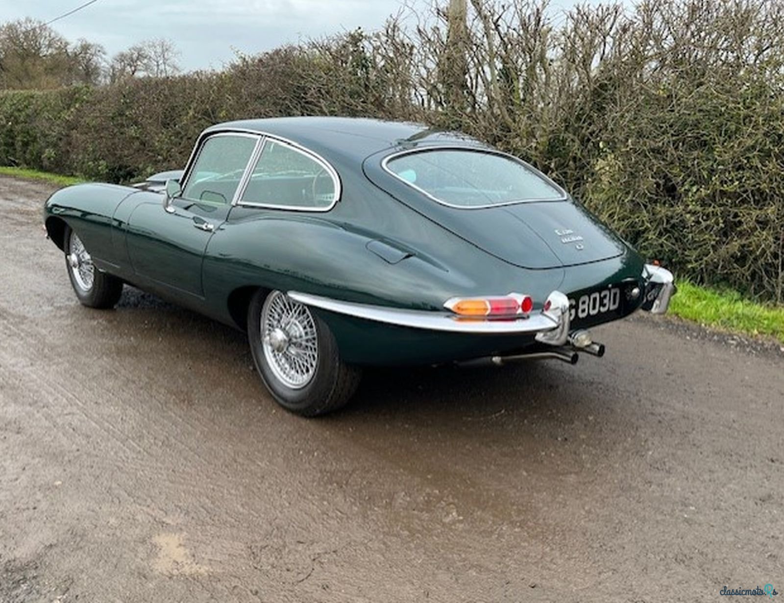 1966' Jaguar E-Type Series 1 photo #2