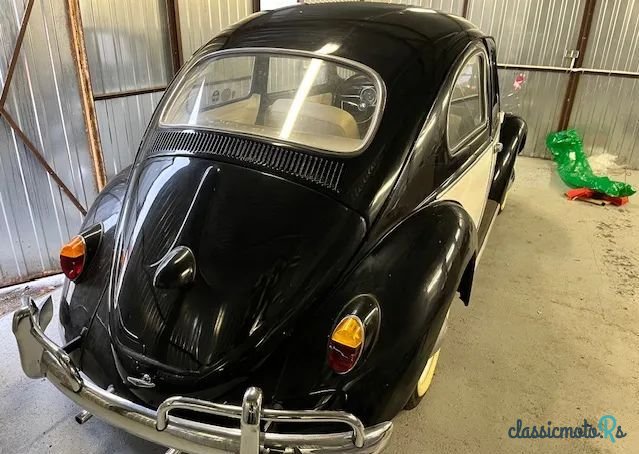 1962' Volkswagen Garbus photo #4