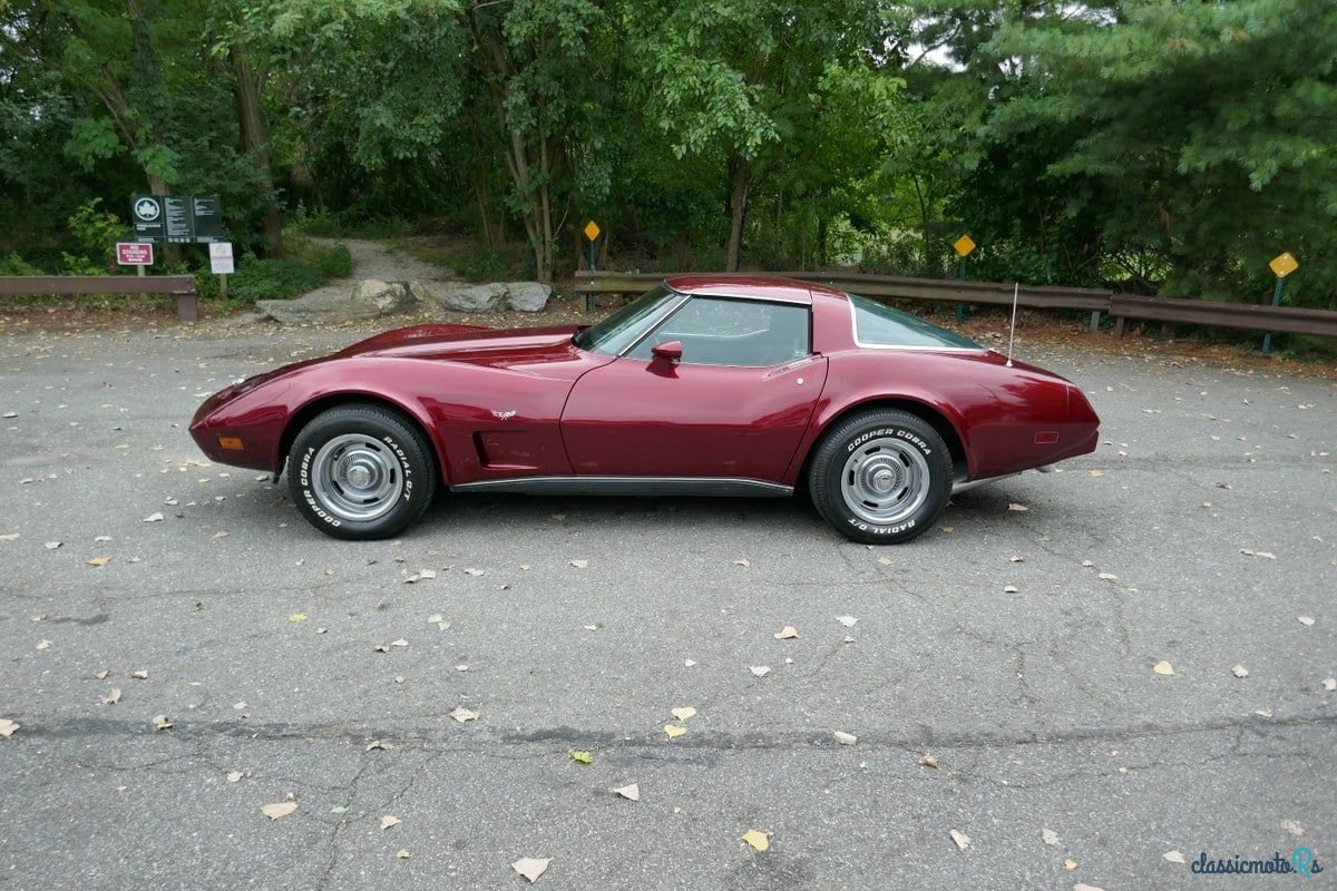 1978' Chevrolet Corvette photo #5