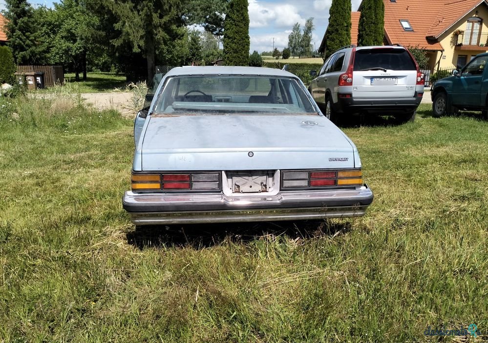 1979' Chevrolet Malibu photo #3