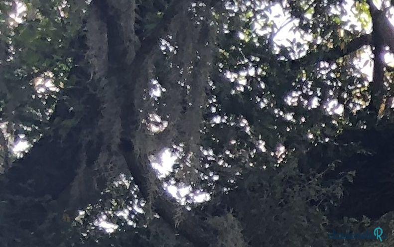 1928' Chevrolet Model AB photo #4