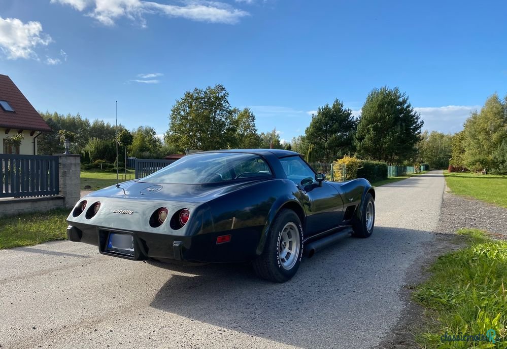 1979' Chevrolet Corvette photo #5