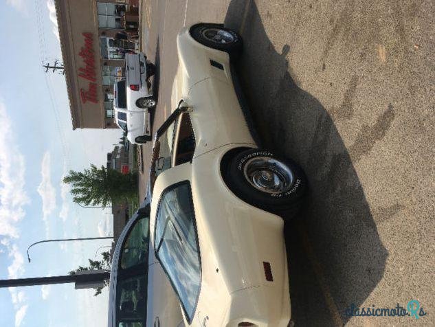 1981' Chevrolet Corvette photo #1