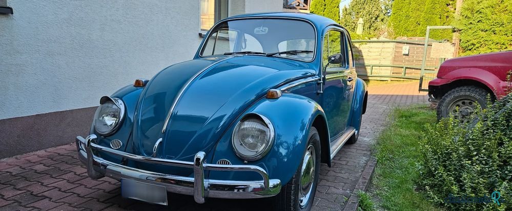 1966' Volkswagen Garbus photo #1