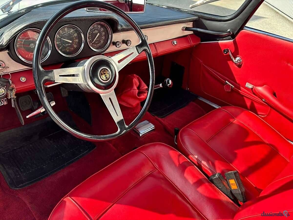 1966' Alfa Romeo Giulia photo #6