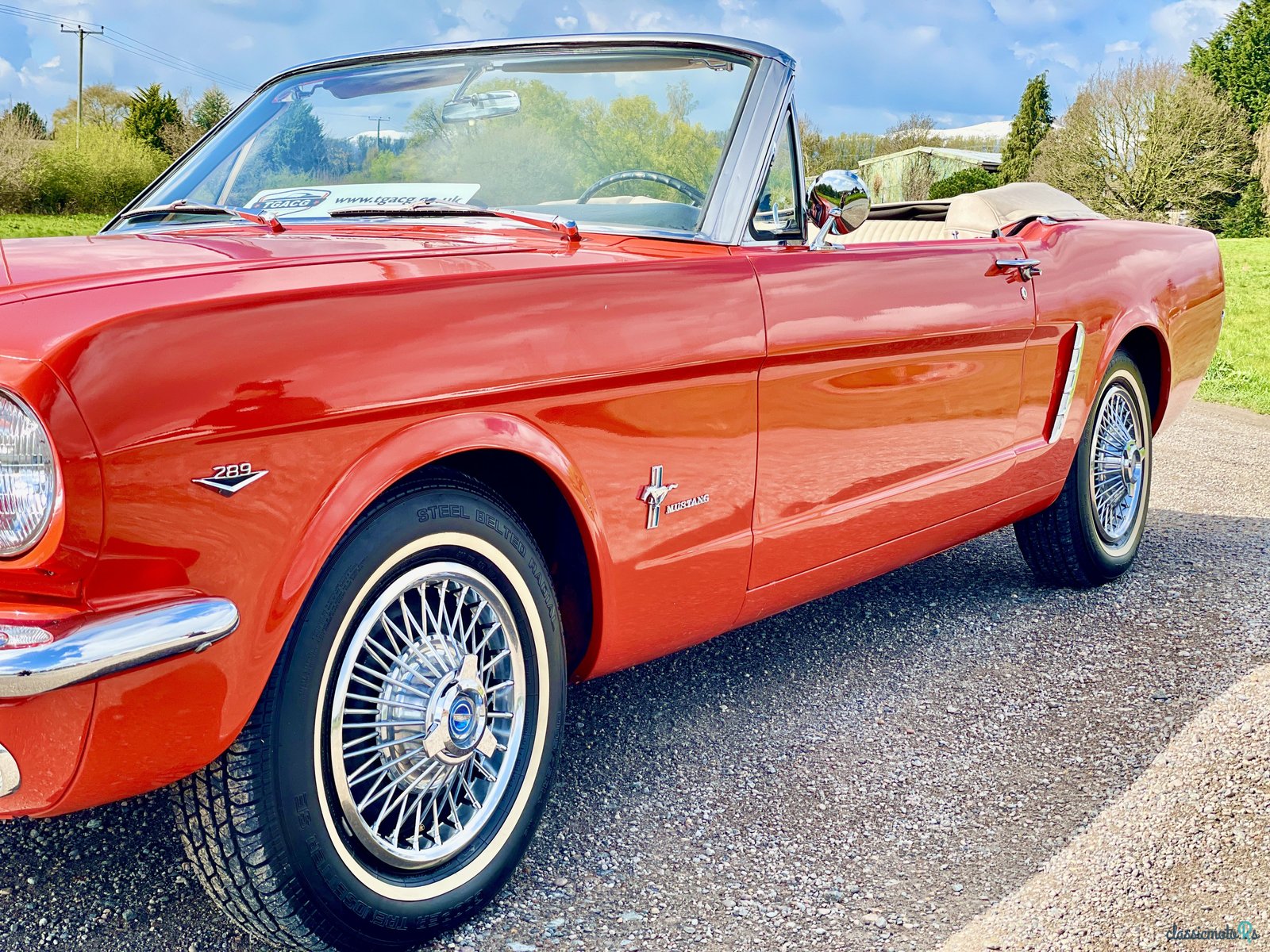 1965' Ford Mustang photo #4
