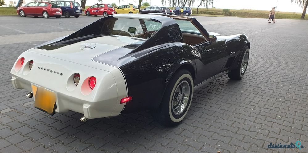 1975' Chevrolet Corvette photo #6