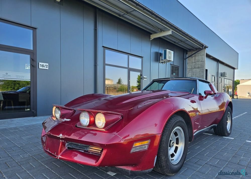 1979' Chevrolet Corvette photo #2