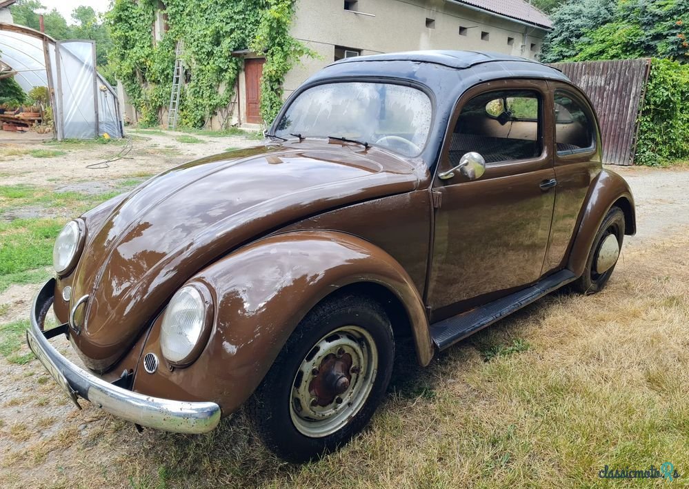 1954' Volkswagen Garbus photo #4