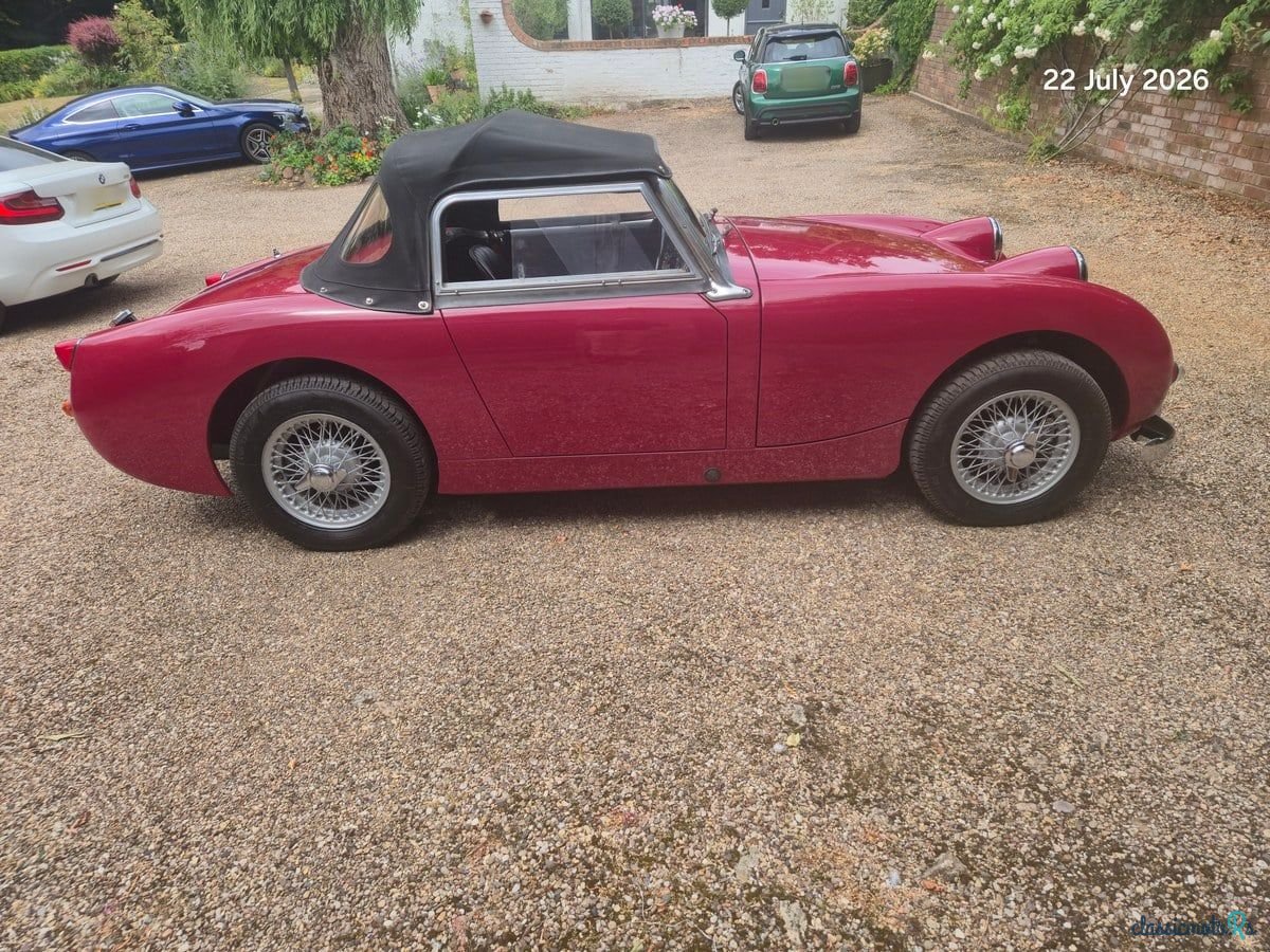 1960' Austin-Healey Sprite photo #6