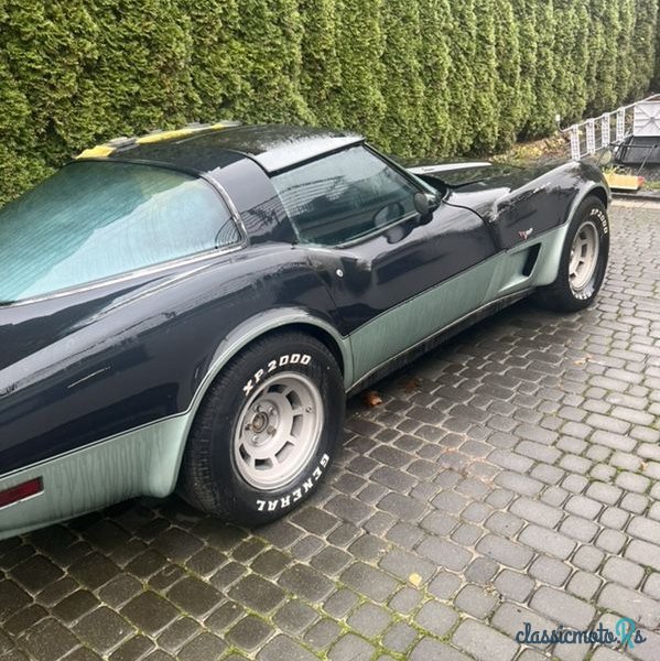 1979' Chevrolet Corvette photo #2