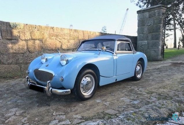 1959' Austin-Healey Sprite Frogeye photo #1