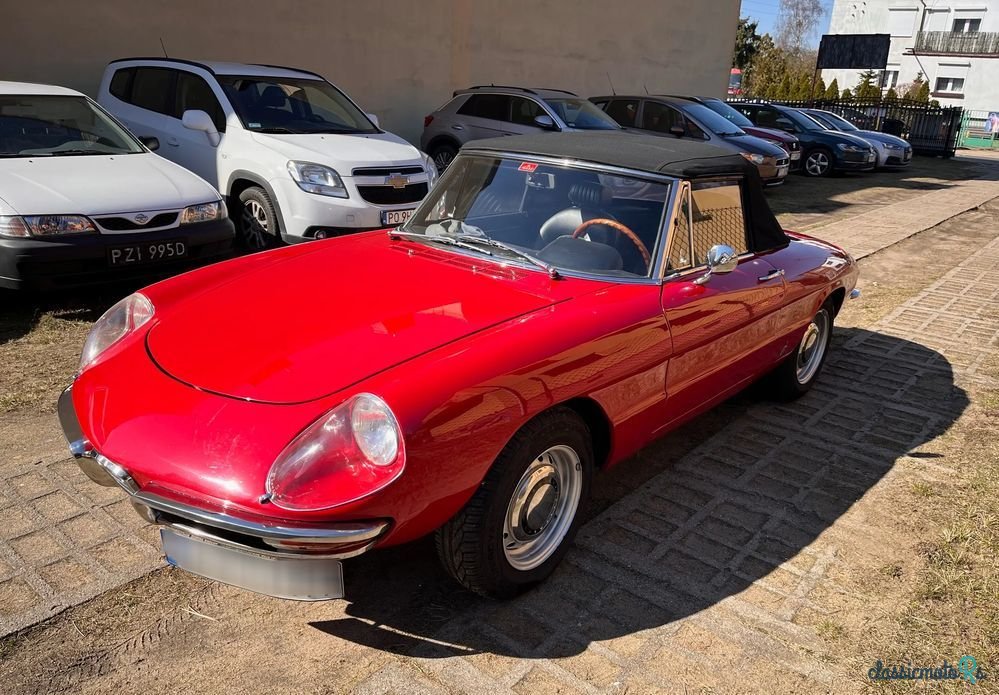 1969' Alfa Romeo Spider photo #3