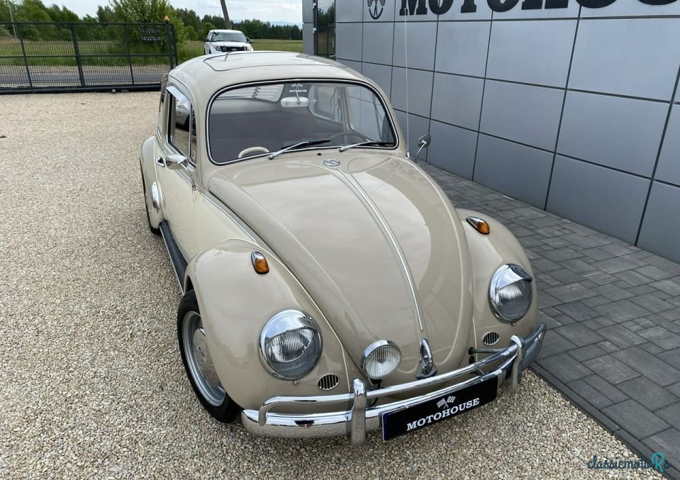 1967' Volkswagen Garbus photo #3