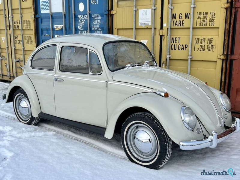 1964' Volkswagen Garbus photo #4