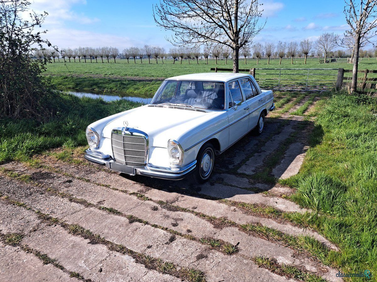 1968' Mercedes-Benz 280 photo #3