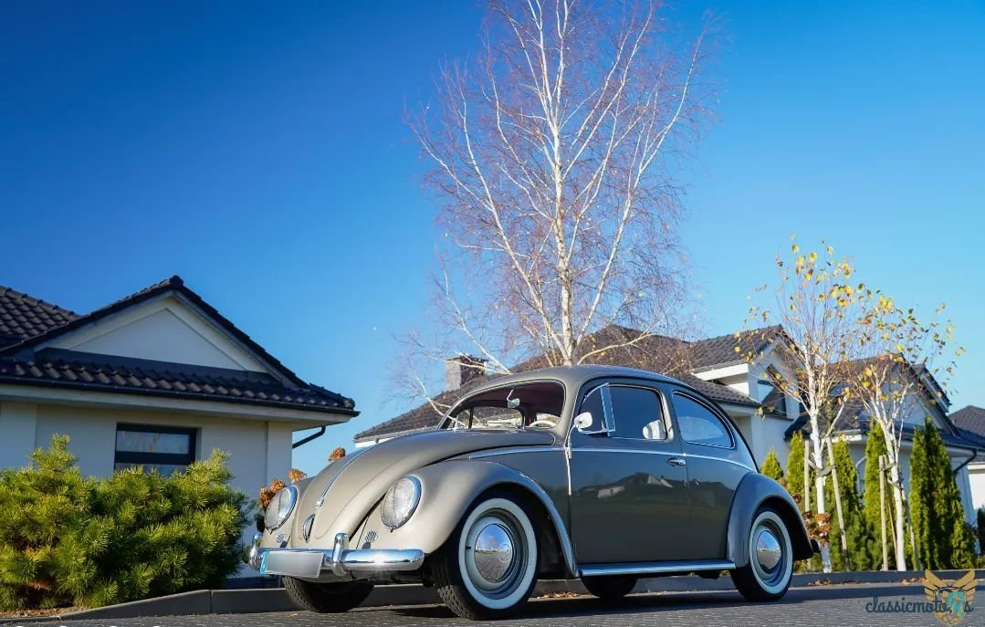 1956' Volkswagen Garbus photo #5