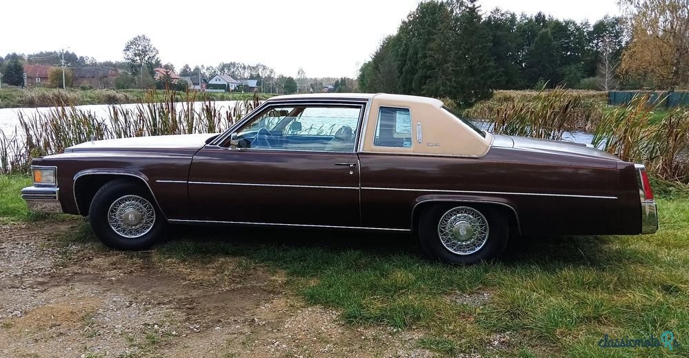 1977' Cadillac Deville photo #5