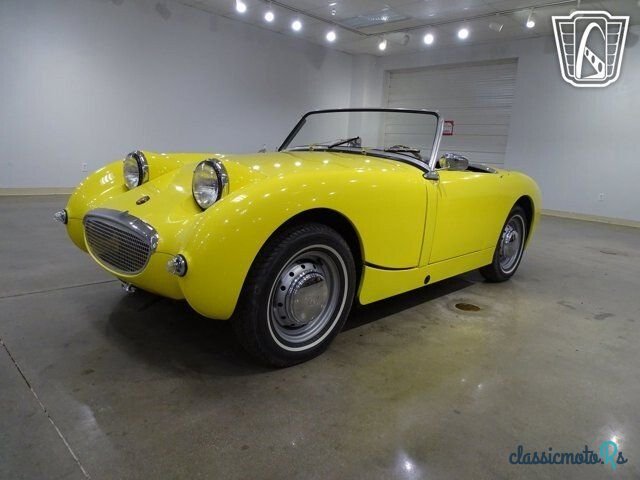 1959' Austin-Healey Sprite photo #2