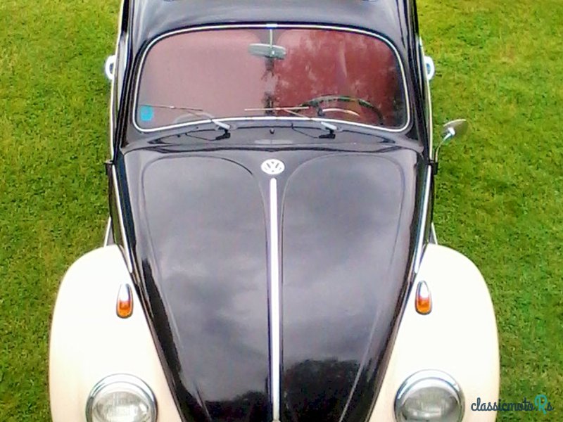 1962' Volkswagen Beetle photo #1