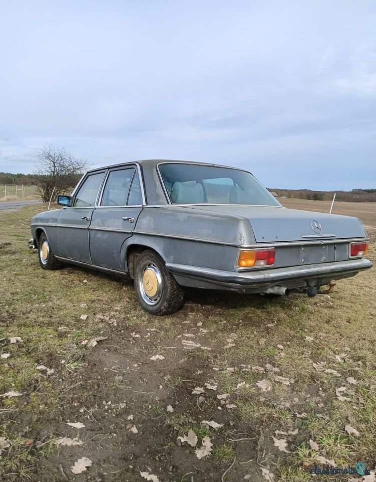 1975' Mercedes-Benz W115 photo #2