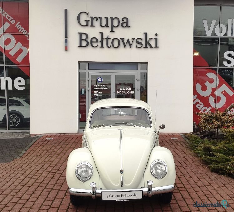 1960' Volkswagen Garbus photo #3