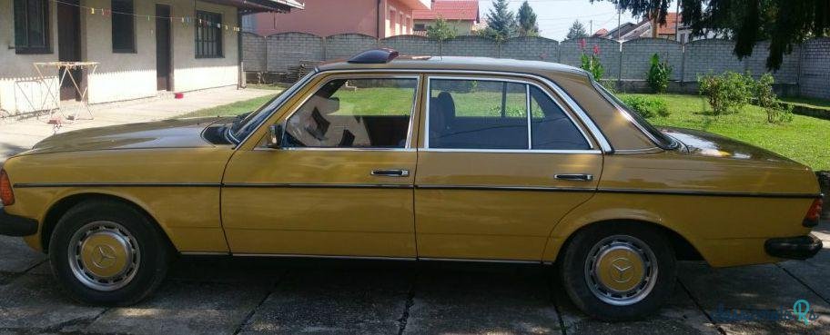 1979' Mercedes-Benz G 240 D photo #2