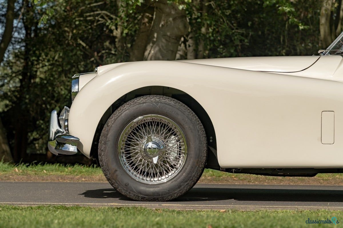 1955' Jaguar C-Type photo #6