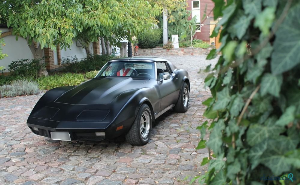 1974' Chevrolet Corvette photo #1